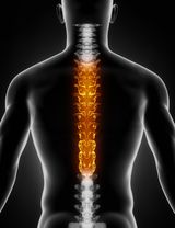 Chiropraktiker