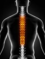 Chiropraktiker