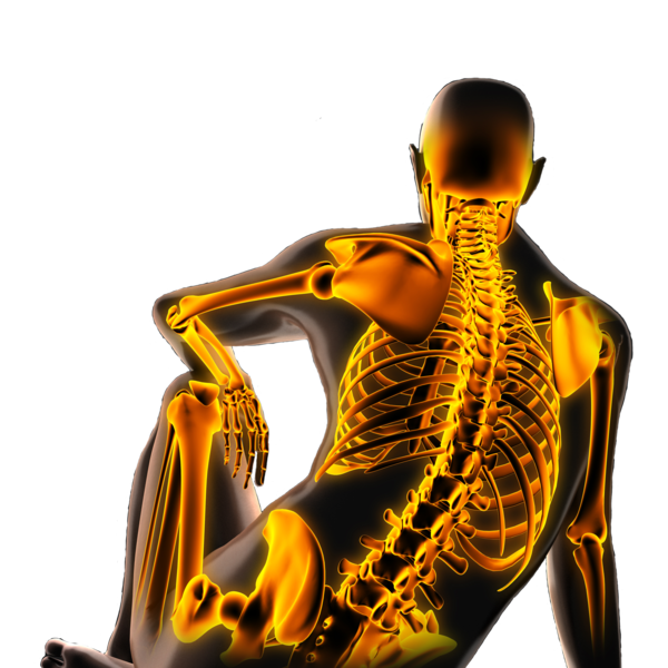 Rücken Gelenkschmerzen